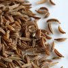 Caraway omega-3 fatty acids